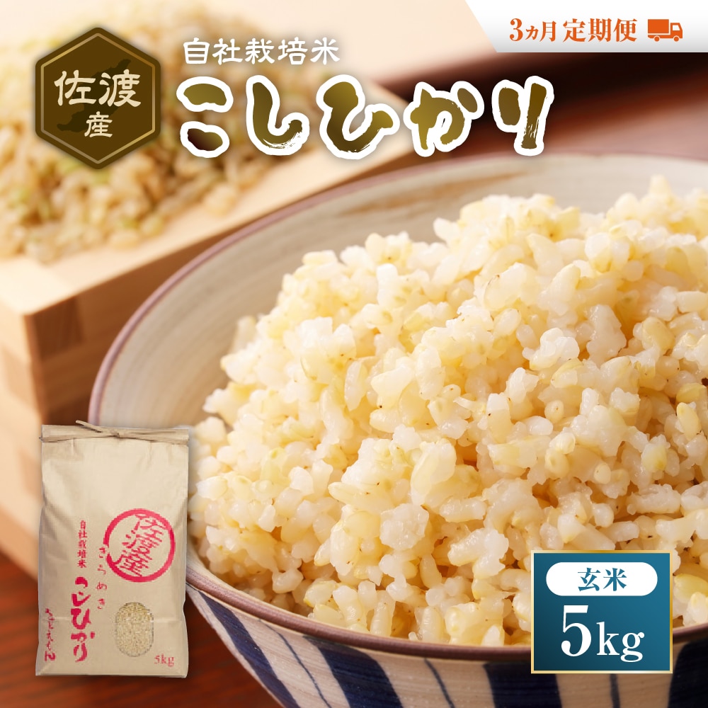自社栽培米佐渡産こしひかり(玄米5kg)3カ月定期便新潟県佐渡市53000米・パン白米