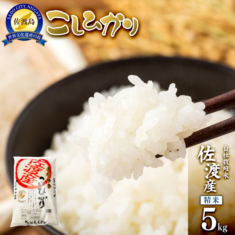 【令和7年米】自社栽培米佐渡産こしひかり(精米5kg)新潟県佐渡市18000米・パン白米