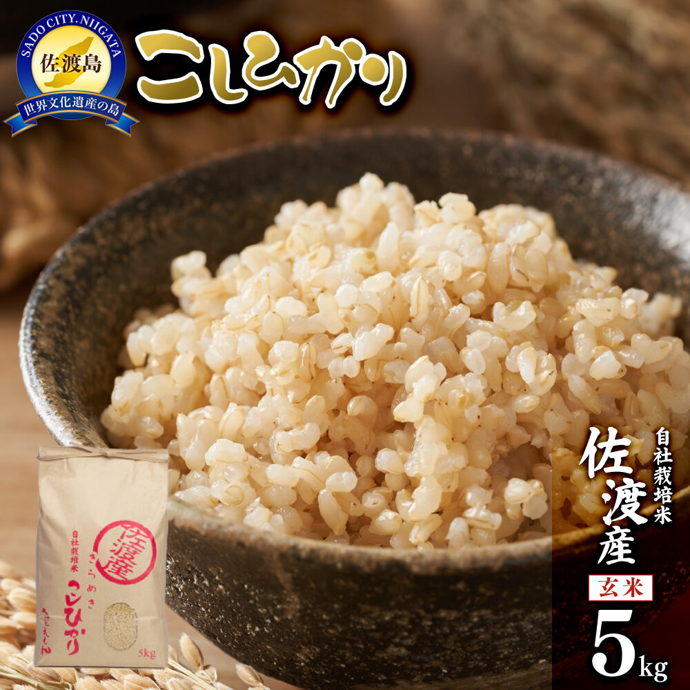 【令和7年米】自社栽培米佐渡産こしひかり(玄米5kg)新潟県佐渡市18000米・パン玄米・雑穀米・もち米・餅