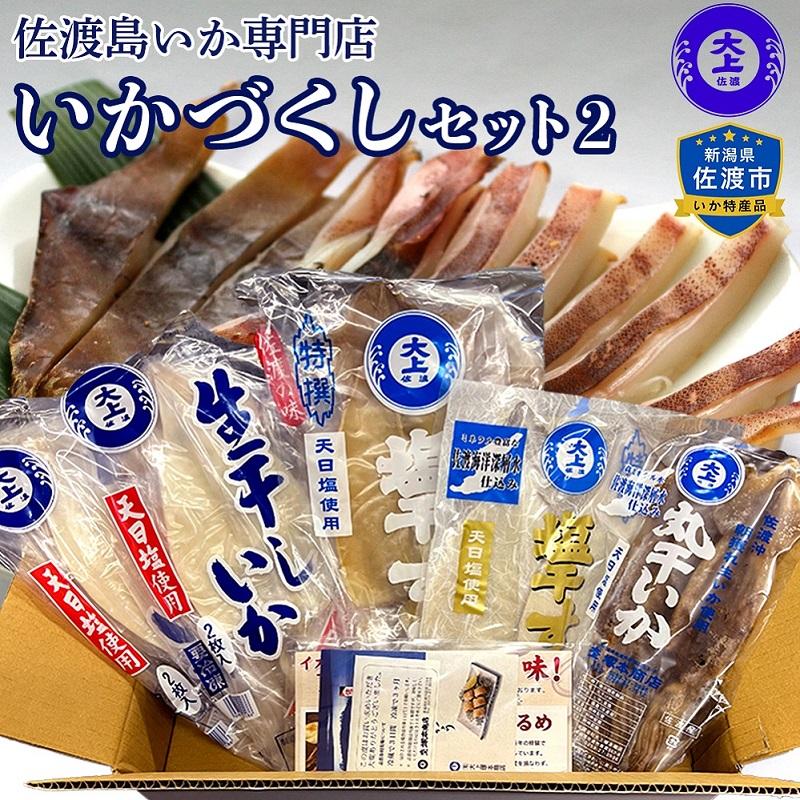 佐渡島いか専門店 いかづくしセット2新潟県佐渡市22000鍋セット・総菜・加工食品その他 鍋セット・総菜・加工食品