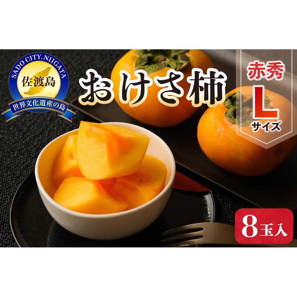 nY` ԏGL 8ʓVns7000ʕEt[c̑ ʕEt[c