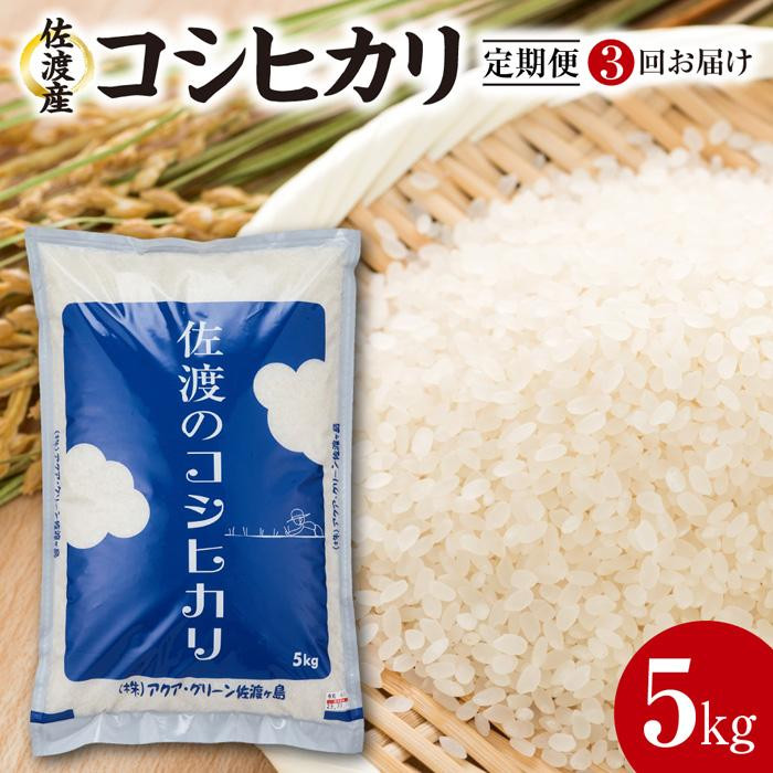 【令和7年産】【定期便3回】 佐渡産コシヒカリ 5kg新潟県佐渡市47000米・パン白米