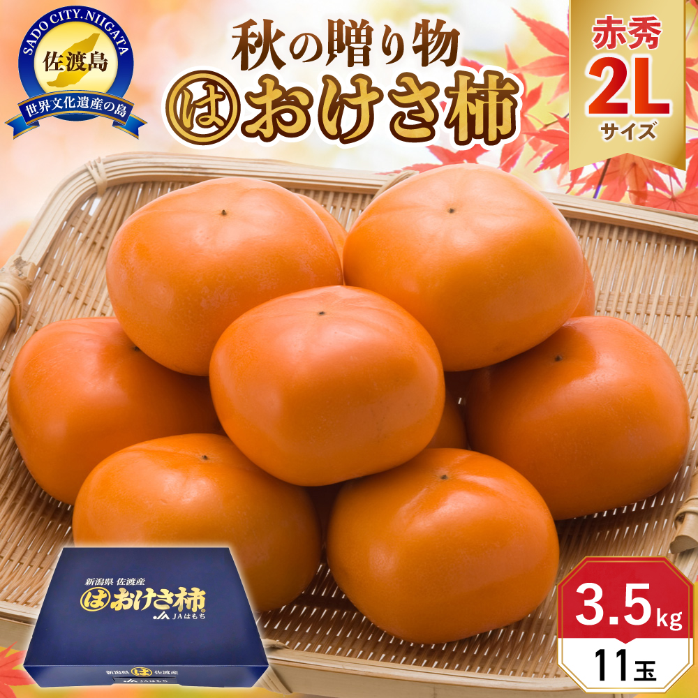 柿 おけさ柿 高級 赤秀 2Lサイズ 11玉 種なし 化粧箱入新潟県佐渡市22000果物・フルーツその他 果物・フルーツ
