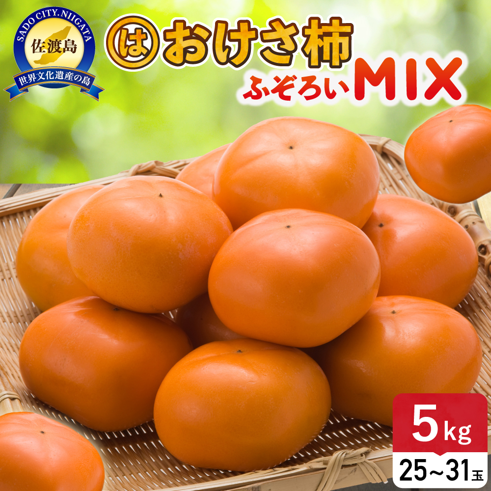 ӂ낢mix`@5kgi25`31jiƒpjVns12000ʕEt[c̑ ʕEt[c