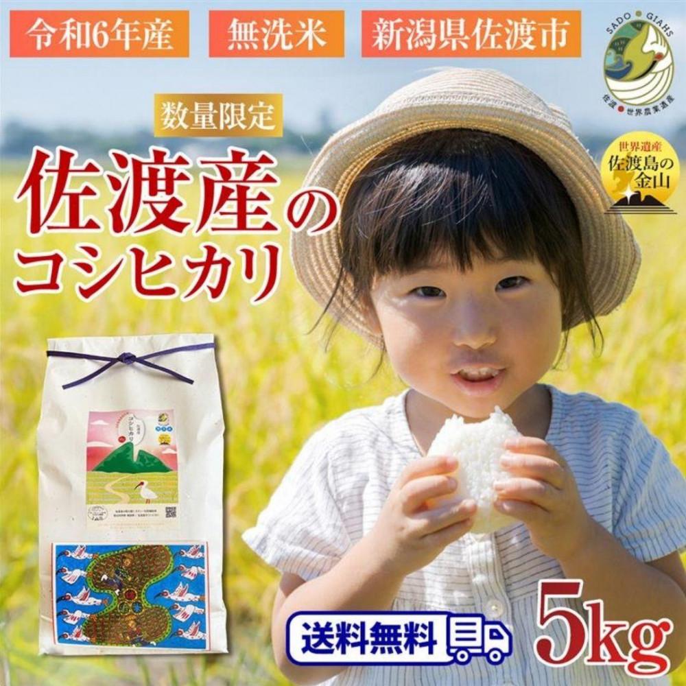 <数量限定>【令和6年産】新潟県佐渡産のコシヒカリ 精米【無洗米】5kg 新潟県佐渡市14000米・パン白米