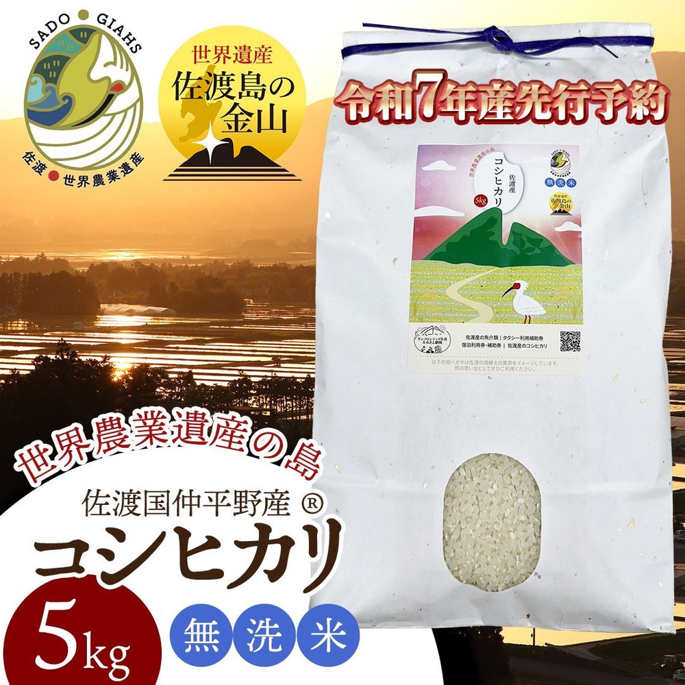 【新潟県佐渡】国仲平野産コシヒカリ<数量限定・生産地域限定> 令和7年産 精米【無洗米】5kg 新潟県佐渡市17000米・パン白米