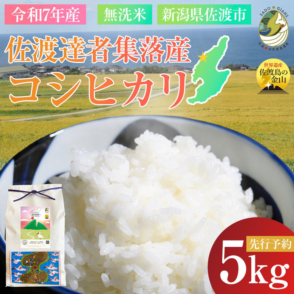 【新潟県佐渡】達者集落産コシヒカリ<数量限定・生産地域限定> 令和7年産 精米【無洗米】5kg 新潟県佐渡市17000米・パン白米