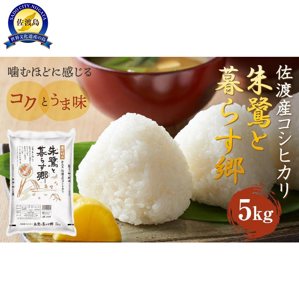 ߘa7NY nYRVqJāuƕ炷v5kg nEΏXߐVns23000āEp