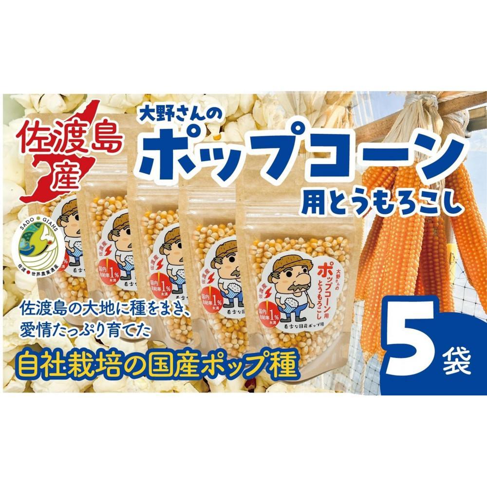 佐渡島産 大野さんのポップコーン用とうもろこし(180g×5袋入)新潟県佐渡市11000鍋セット・総菜・加工食品その他 鍋セット・総菜・加工食品