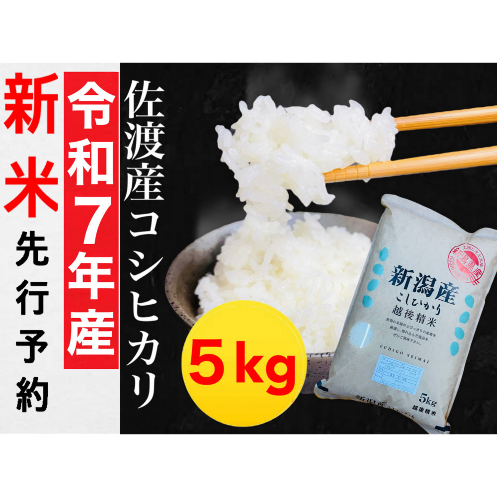 【令和7年度産新米・先行予約】佐渡産コシヒカリ 5kg新潟県佐渡市23000米・パン白米