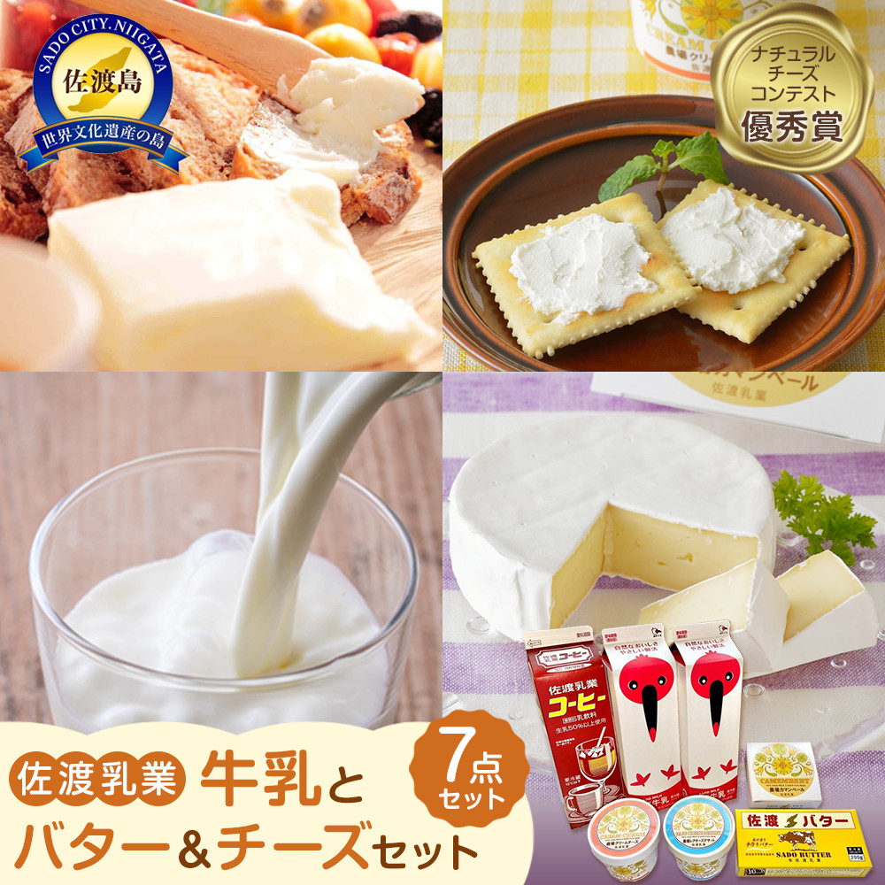 nƁ@ƃo^[`[YZbgV_ZbgVns12000Eio^[