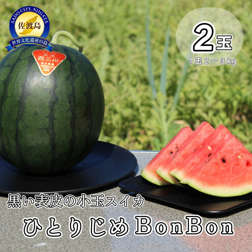 ys\znOEu_̖YiʃXCJuЂƂ肶BonBon]Qi12`3kgjVns10000ʕEt[cEXCJ