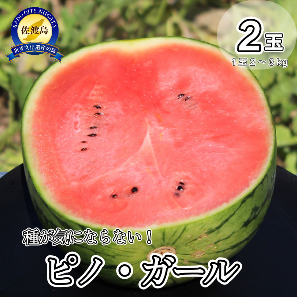 【先行予約】佐渡西三川・松丘農園の名産品小玉スイカ「ピノ・ガール」2個(1玉2〜3kg)新潟県佐渡市10000果物・フルーツメロン・スイカ