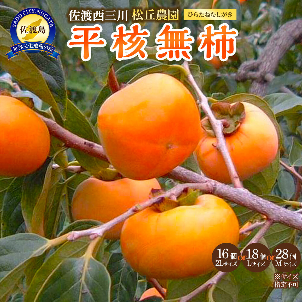 【先行予約】佐渡・松丘農園の「平核無柿(ひらたねなしがき)」2Lサイズ16個またはLサイズ18個またはMサイズ28個(サイズ指定不可)新潟県佐渡市11000果物・フルーツその他 果物・フルー