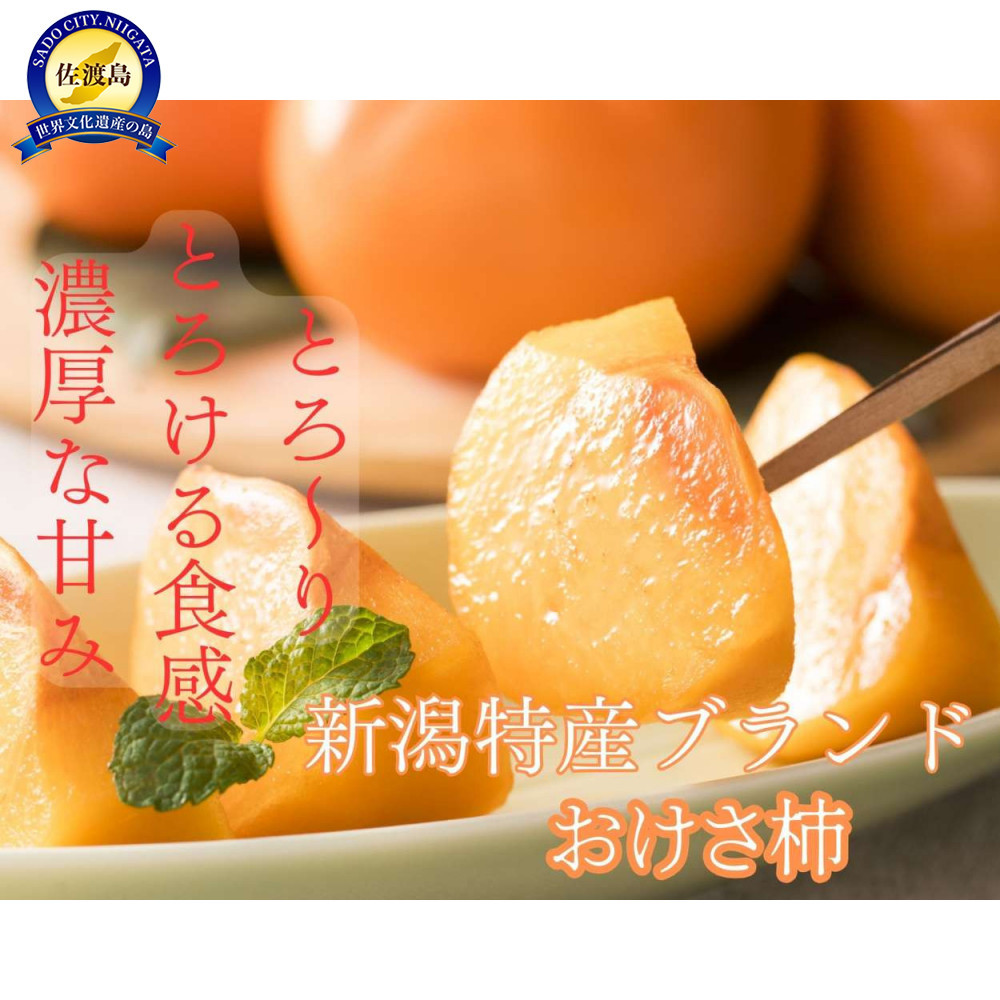 ypzn̏H𑡂₳ꔠB`yGizM`LTCYi7.5kg^M40ʁEL36ʁjp܂Vns16000ʕEt[c̑ ʕEt[c
