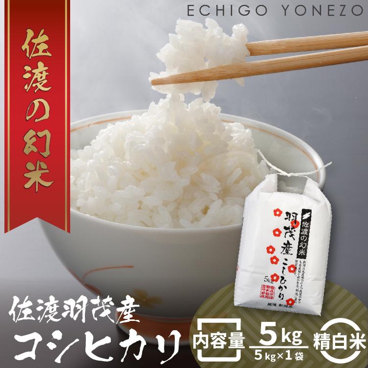 ふるさと納税 米 コシヒカリ 新潟県 新発田市 令和6年産