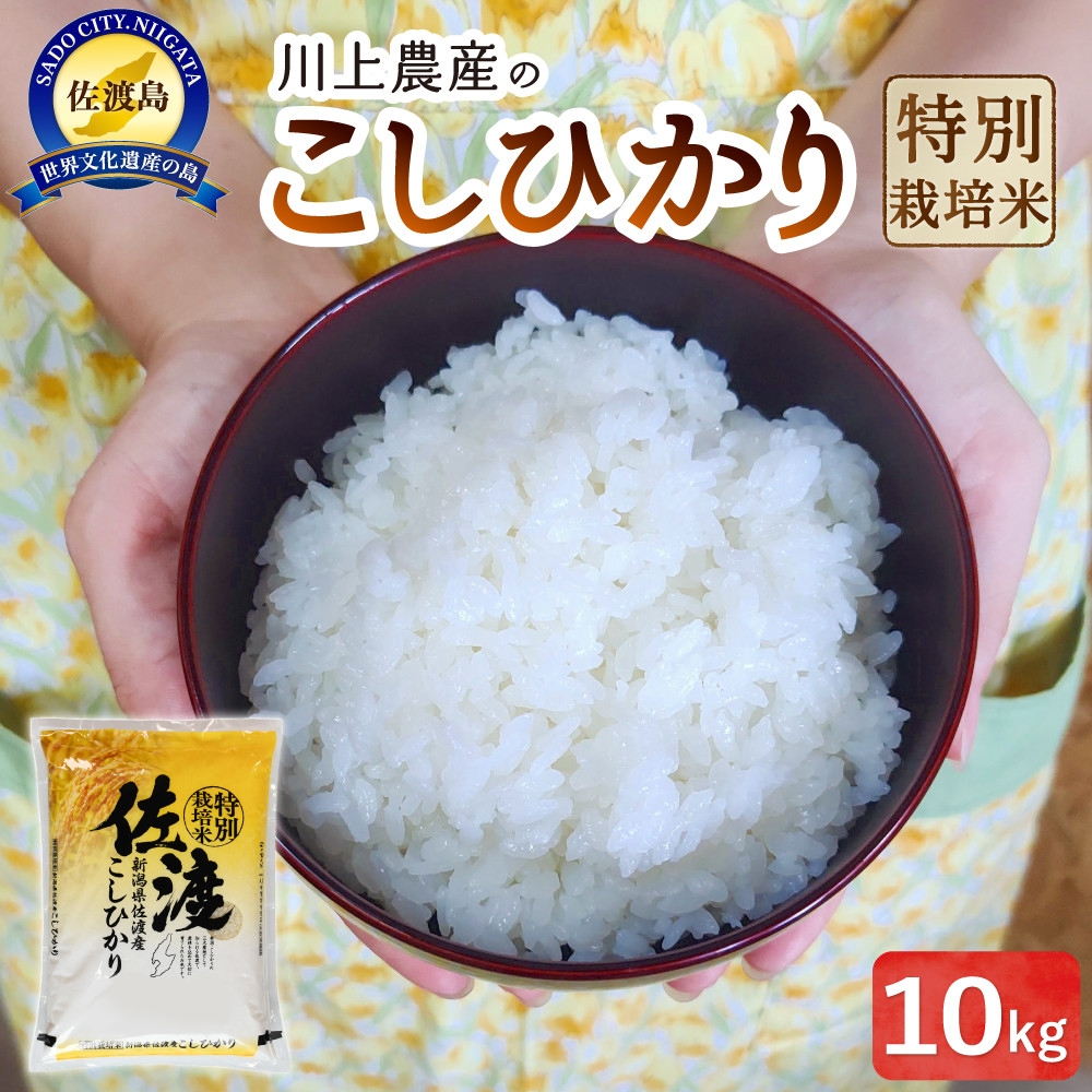 ߘa7NY n _ỸRVqJi10kgjVns32000āEp