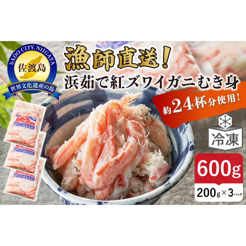 y2025N9stznIl䥂ōgYCKjނg200g×3pbNiv600/24tgpjӂ邳Ɣ[ŐVns18000ECYJj