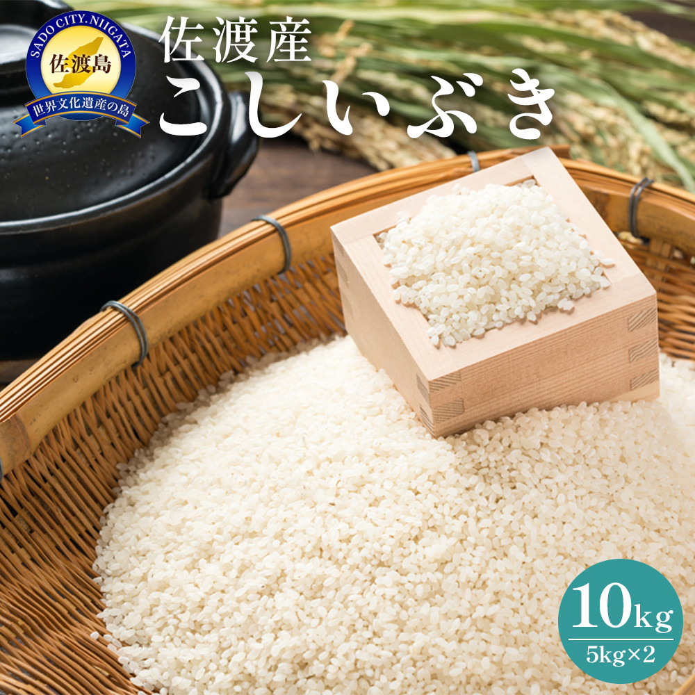 佐渡島産 こしいぶき 10kg(5kg×2) 令和7年産新潟県佐渡市30000米・パン白米