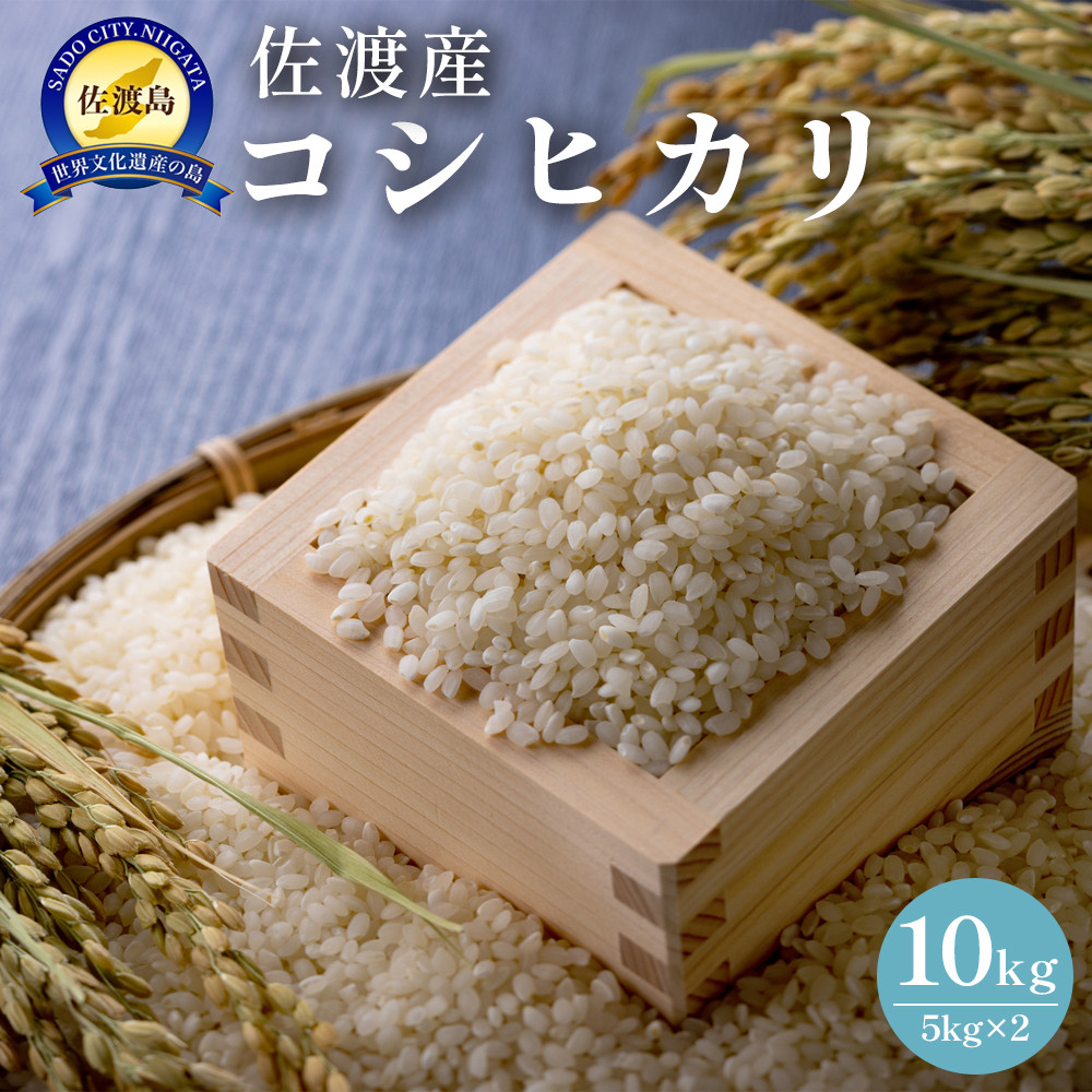 佐渡島産 コシヒカリ 10kg(5kg×2) 令和7年産新潟県佐渡市32000米・パン白米