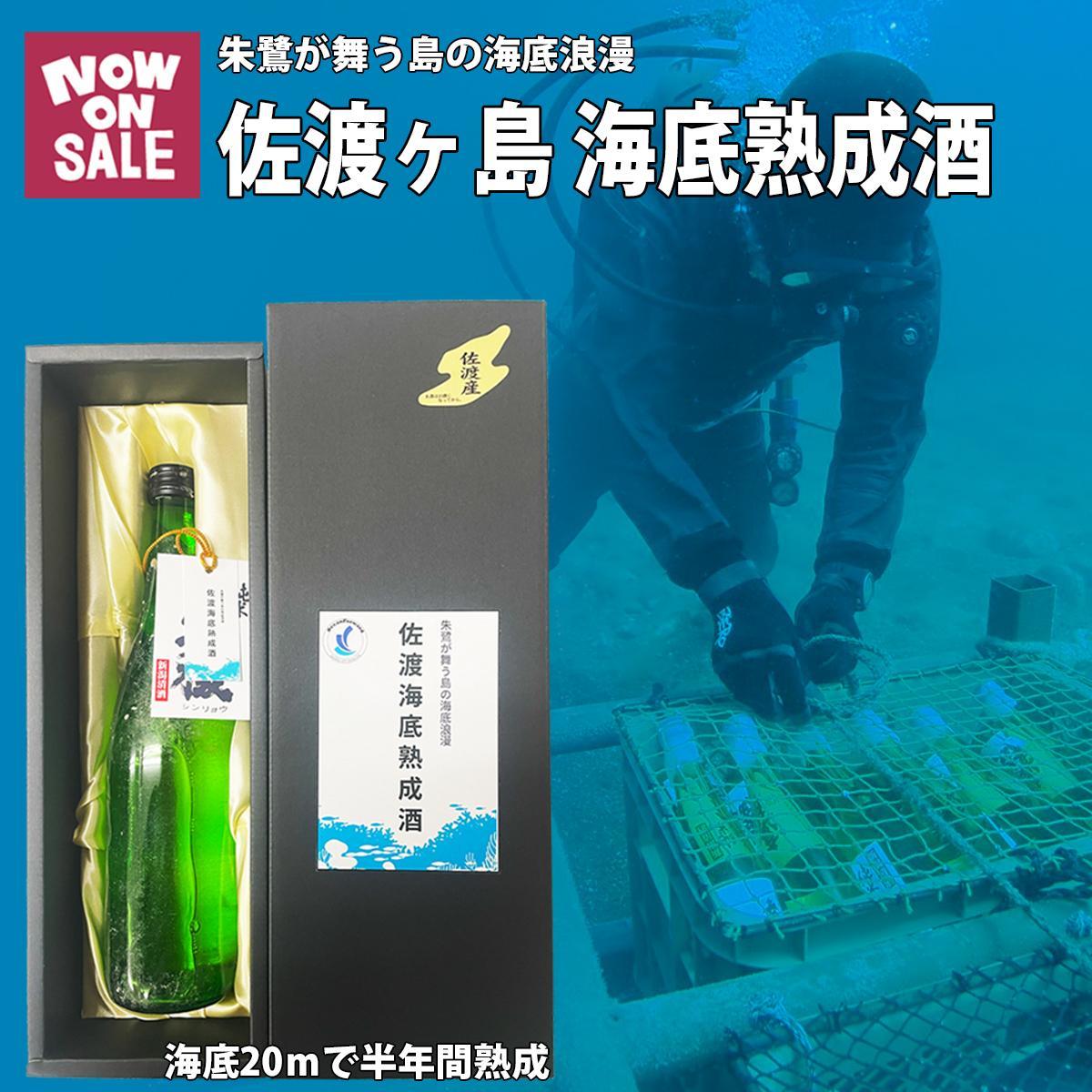 酒 日本酒 純米吟醸酒 佐渡 海底熟成酒 「真稜」720ml×1本新潟県佐渡市30000酒・アルコール日本酒