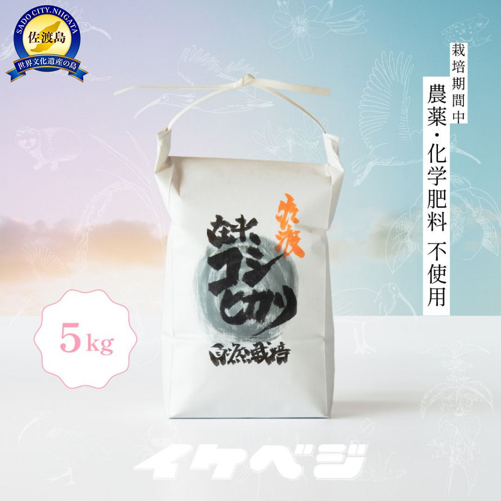 新潟県佐渡産 令和7年産 【在来コシヒカリ】 玄米 5kg新潟県佐渡市25000米・パン白米