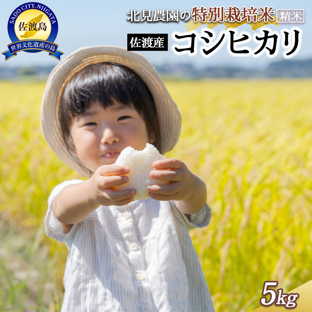 yߘa7NYzk_̓ʍ͔| ߘa7NnYRVqJ 5kg _Ǝ̈i ĐVns16000āEp