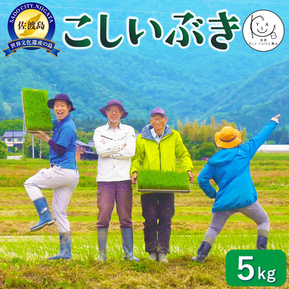 nRice Field㉡R̕yԂzߘa7NxY@5kgVns13000āEp