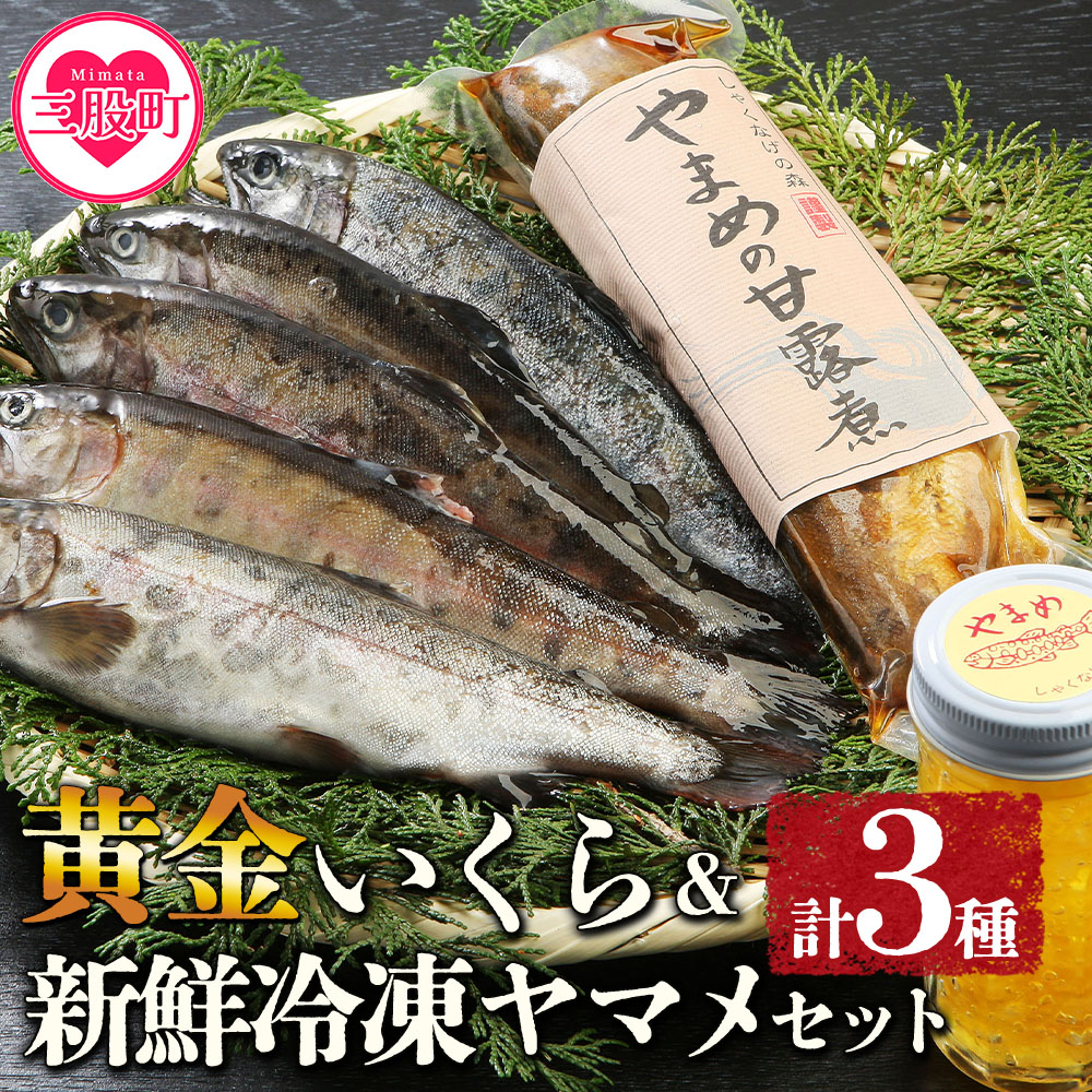 <黄金イクラと新鮮冷凍ヤマメセット>(3種)黄金イクラやヤマメを詰め合わせ!【有限会社しゃくなげの森】【A-0202-sk】宮崎県三股町20000魚介・海産物