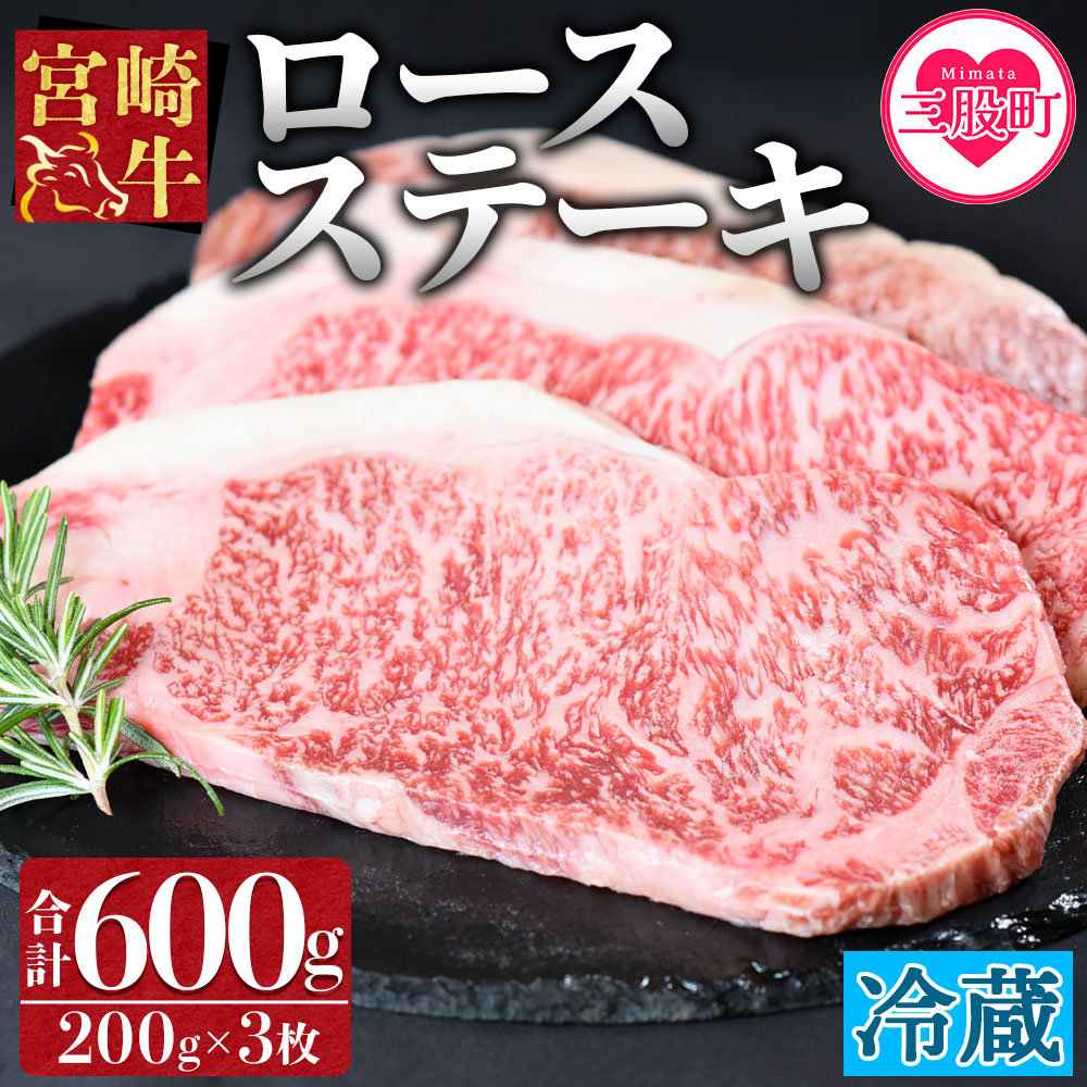 {苍[XXe[L3①ց(600gE3ʕ)ȃAeB̋{苍Iō̋ƒŁIyHzyB-0109-nkz{茧OҒ33000