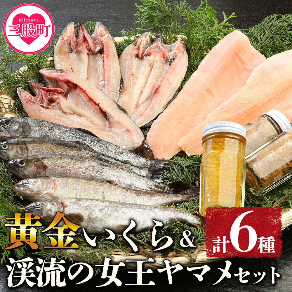 <黄金イクラと渓流の女王ヤマメ逸品セット>(6種)黄金イクラやヤマメなどを詰め合せ!【有限会社しゃくなげの森】【B-0204-sk】宮崎県三股町40000魚介・海産物