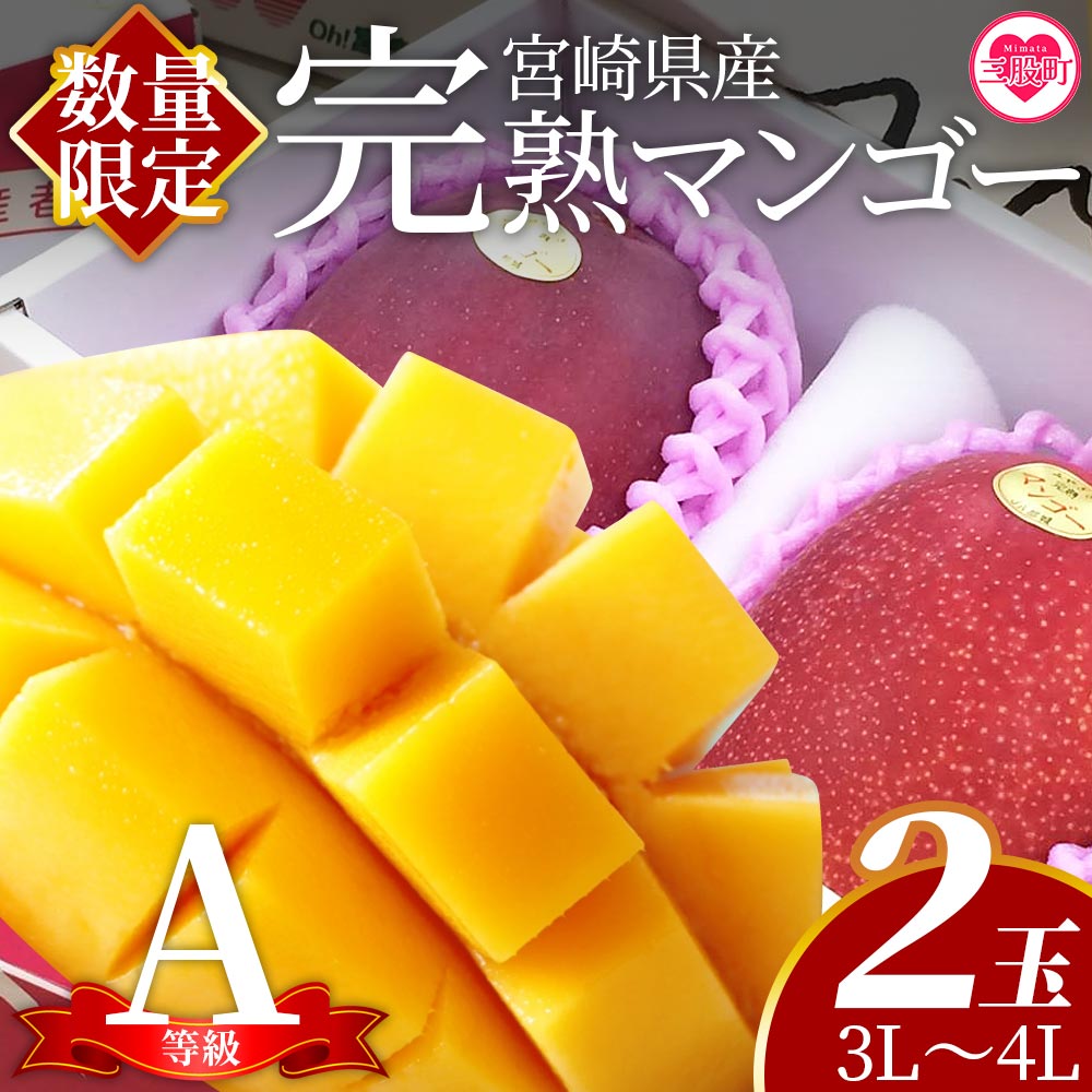 <【先行予約】【期間数量限定】2026年5月より順次発送 宮崎県産完熟マンゴー3L〜4L 2玉化粧箱入>【みまたんよかもん協同組合】【B-0602-yk-x1】宮崎県三股町35000果物・フルーツマンゴー・パ