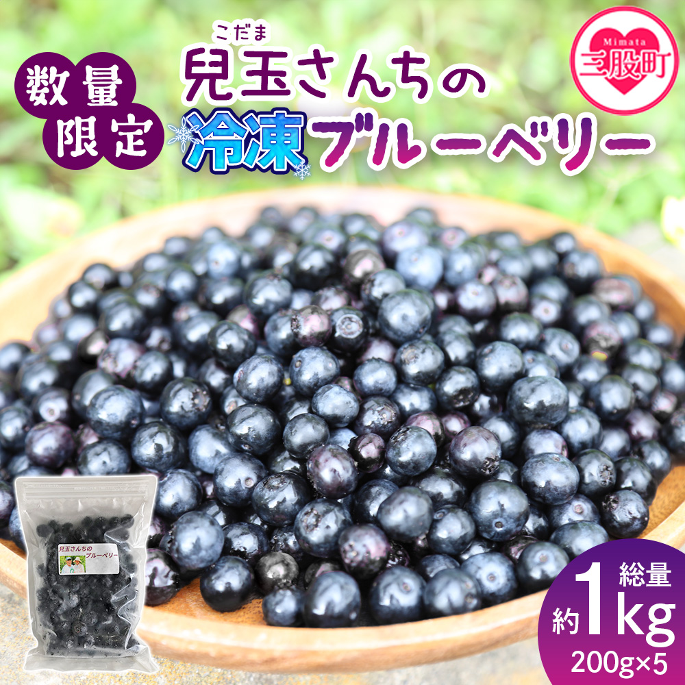 <【数量限定】手摘み兒玉さんちの冷凍ブルーベリー 小分けパック200g×5袋> 総量1kg フルーツ ヨーグルト トッピング スムージー チーズケーキ お菓子 スイーツ 国産 九州産 果物 手摘み 無