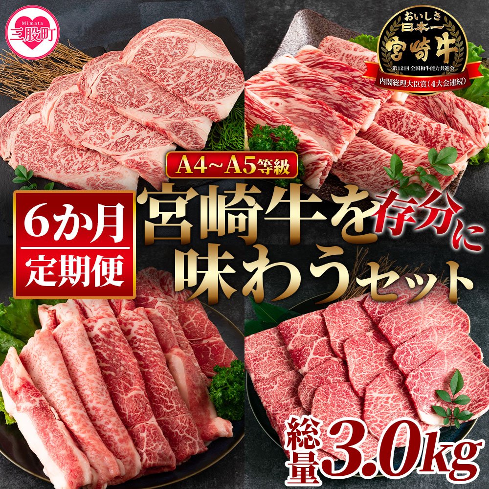 <【定期便6か月】宮崎牛を存分に味わうセット 総量3.0kg>柔らかくきめ細かい肉質と適度な霜降りの入った美味しい牛肉でステーキ、すき焼き、焼肉、BBQをご堪能下さい!【MI231-nh】【日本