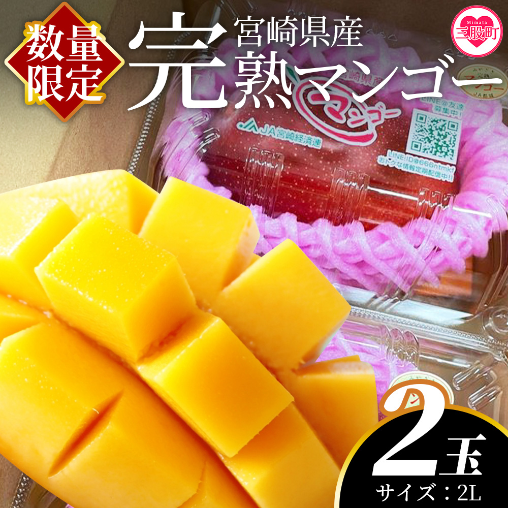 <【先行予約】【期間数量限定】2026年5月より順次発送 宮崎県産完熟マンゴー2L 2玉パック入り> 【MI232-yk-x1】【みまたんよかもん協同組合】宮崎県三股町27000果物・フルーツマンゴー・パイ