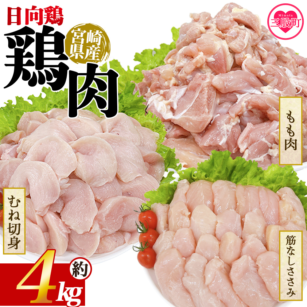 {茧Y{3 4kgY {     g₷ pbN ^Ⓚ ؂g Iׂ鐔 ٓ y 炠 ƂĂ ʌ BBQ o[xL[ { {  