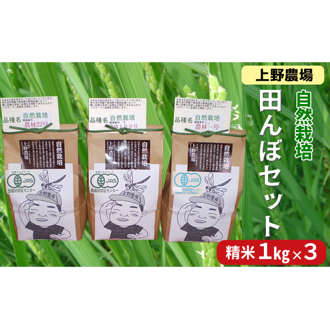 _ R͔|cڃZbg 1kg×3  VVs22000āEp