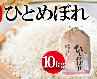 令和7年度産 新潟県認証特別栽培米 ひとめぼれ10kg お米 白米 ライス 精米 ご飯 新潟県産 おにぎり お弁当 和食 ブランド米 粘り 甘み 旨み 新潟県新潟市26000米・パン白米
