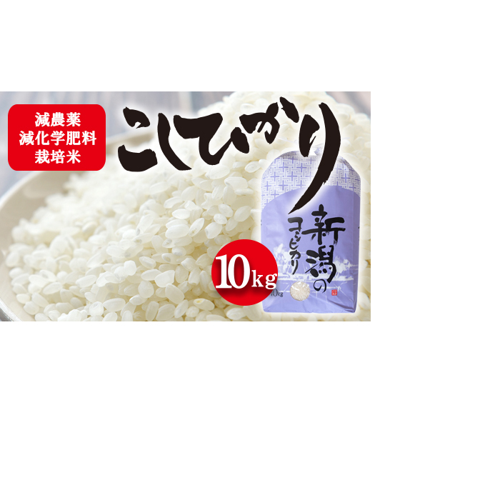 令和7年度産 栽培期間中減農薬・減化学肥料栽培米 こしひかり10kg お米 白米 ライス 精米 ご飯 新潟県産 新潟市産 おにぎり お弁当 和食 ブランド米 新潟県新潟市28000米・パン白米