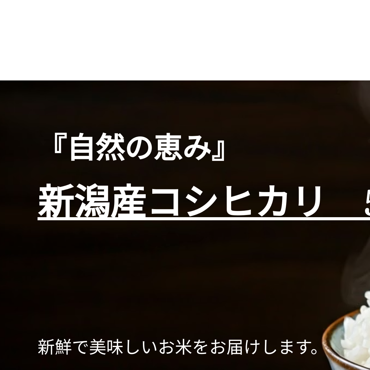 新潟産コシヒカリ 5kg お米 新潟県新潟市17000米・パン白米