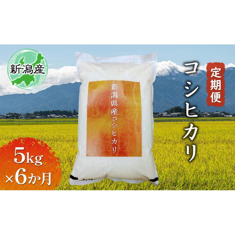 新潟産コシヒカリ 5kg 全6回 お米 新潟県新潟市102000米・パン白米
