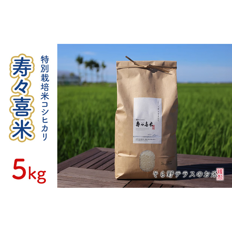 特別栽培米コシヒカリ 寿々喜米 5kg(精米) 特別栽培米 コシヒカリ 米 お米 こめ コメ おこめ 新潟 新潟県新潟市12000米・パン白米