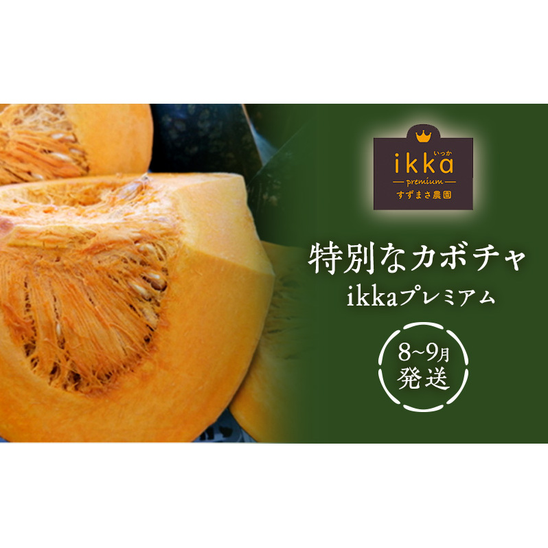 特別なカボチャ ikkaプレミアム【8月-9月発送】 野菜 南瓜 甘い ホクホク 新潟県新潟市13000野菜・きのこその他 野菜