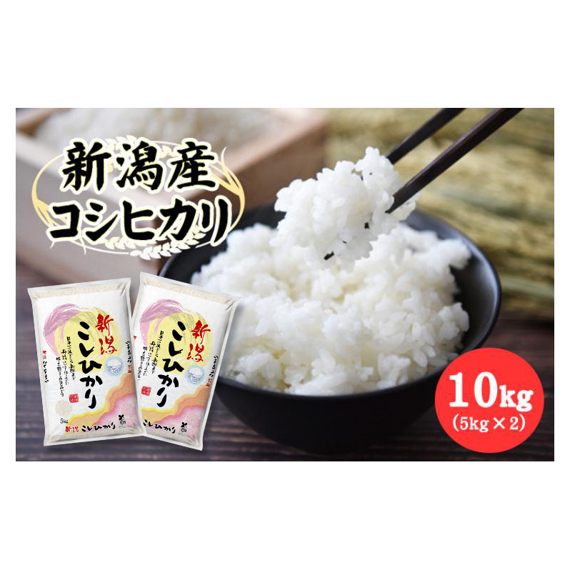 新潟産コシヒカリ10kg (5kg×2) 米 お米 こしひかり 精米 新潟新潟県新潟市26000米・パン白米