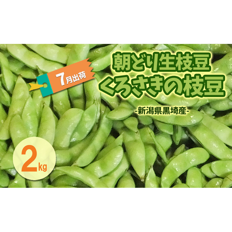 7o ǂ萶} 낳̎}2kg VY Vs } ܂ VVs15000؁Ê