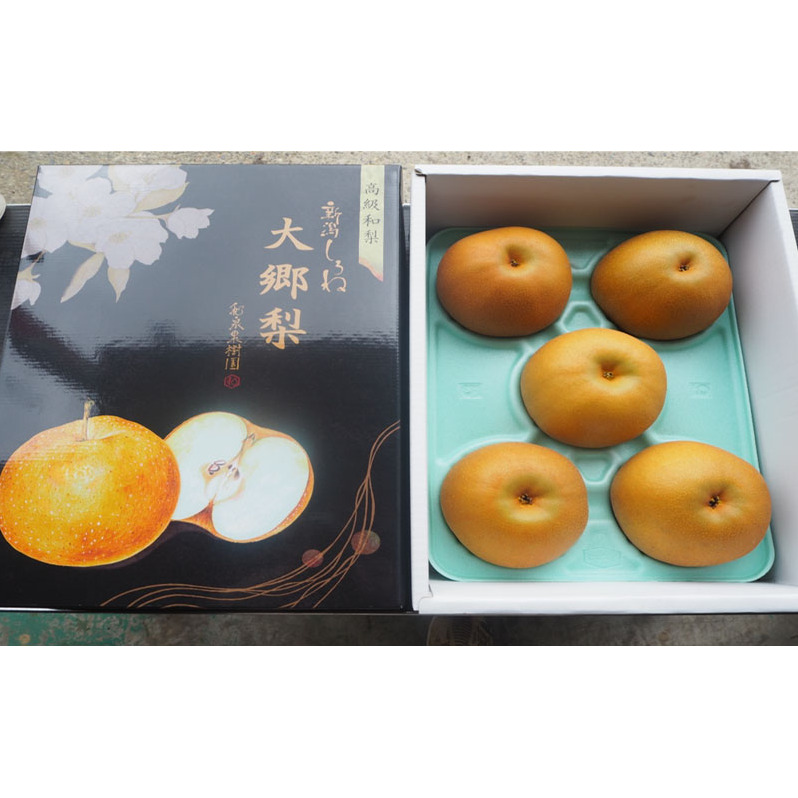 大郷梨3kg(新美月・秋月)新潟県新潟市11000果物・フルーツりんご・梨