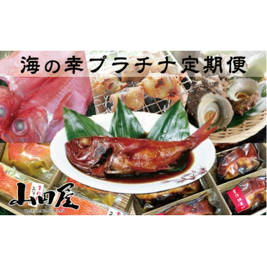 伊豆半島 海の幸 プラチナ 定期便 6回 I005/山田屋海産 産直 稲取 キンメ 静岡県 東伊豆町静岡県東伊豆町300000魚介・海産物貝類