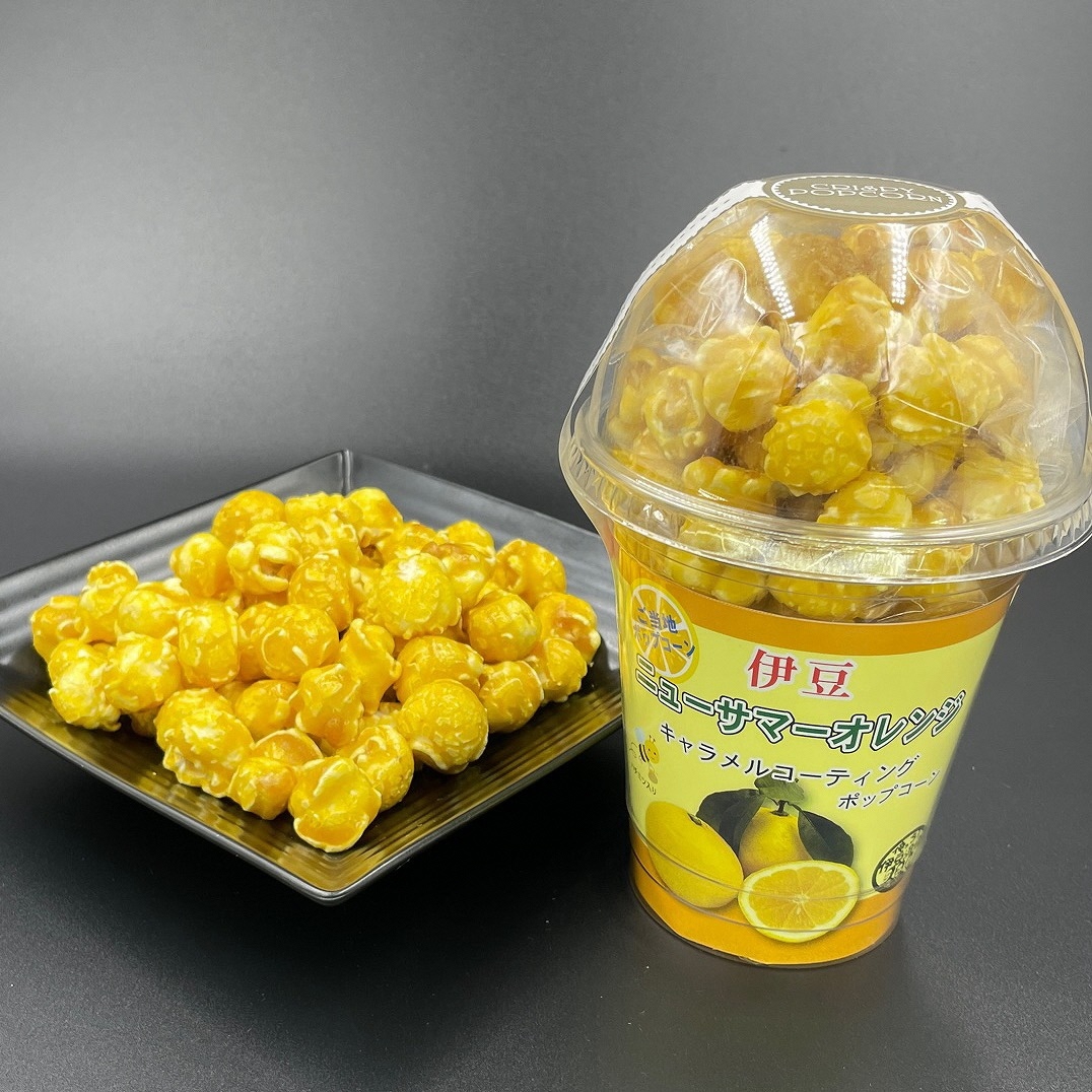 大容量 伊豆ニューサマーポップコーン 10個セット 1285 / 収穫体験農園ふたつぼり 東伊豆町静岡県東伊豆町18000菓子・スイーツその他 洋菓子