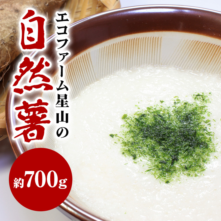 AH-001 エコファーム星山の自然薯 700g茨城県笠間市9000野菜・きのこじゃがいも・イモ類