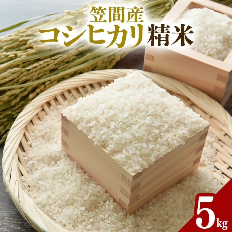 令和7年度 笠間産 コシヒカリ 5kg 精米 米 白米 新米 茨城県茨城県笠間市15000米・パン白米